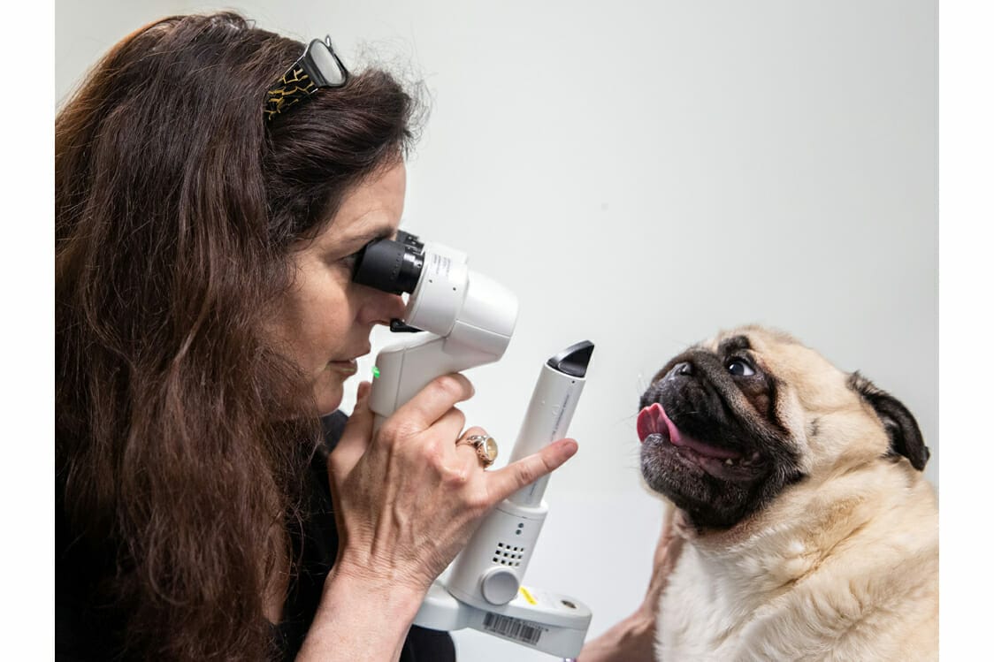 Ophthalmoscope For Animals