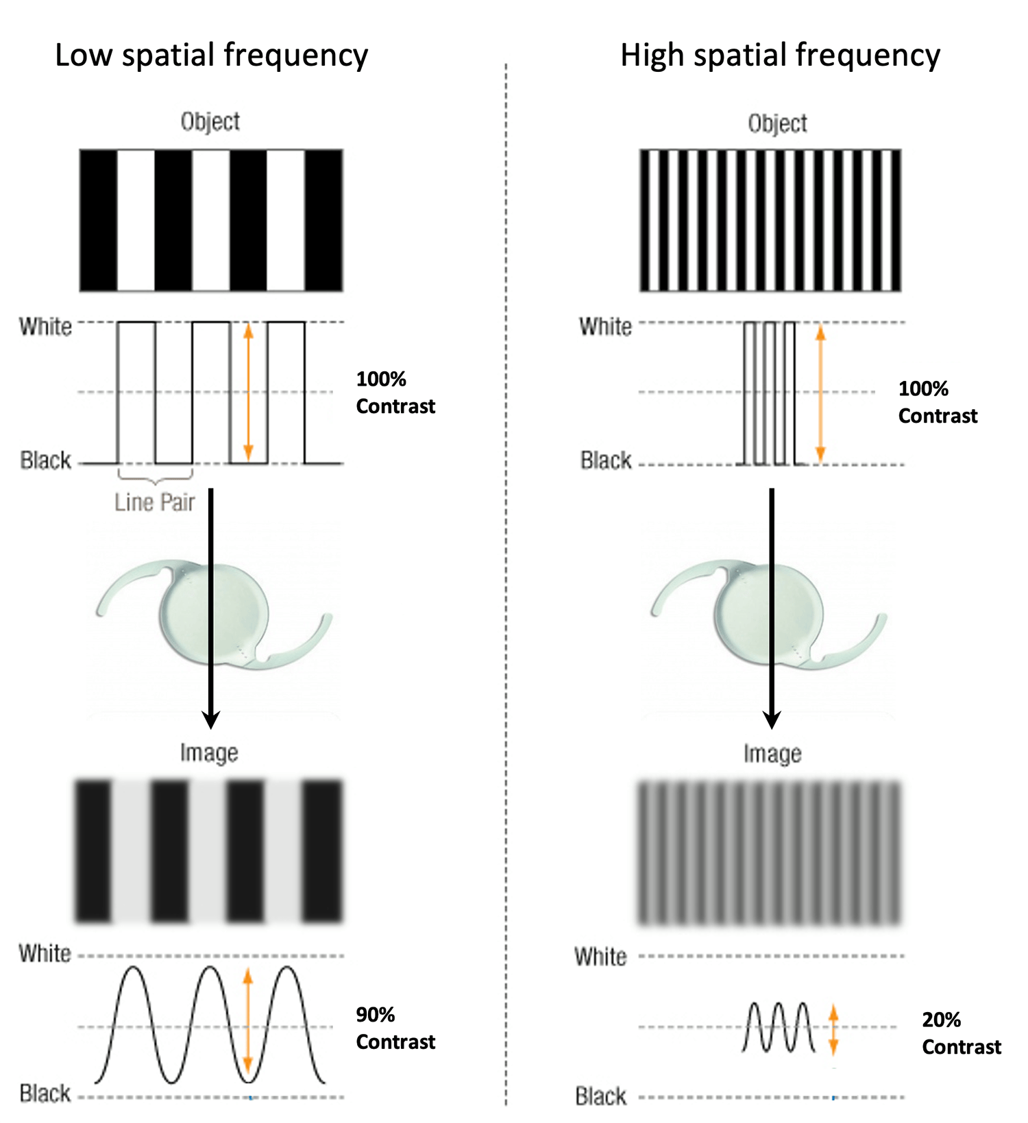What the MTF? (Modulation Transfer Function) - mivision