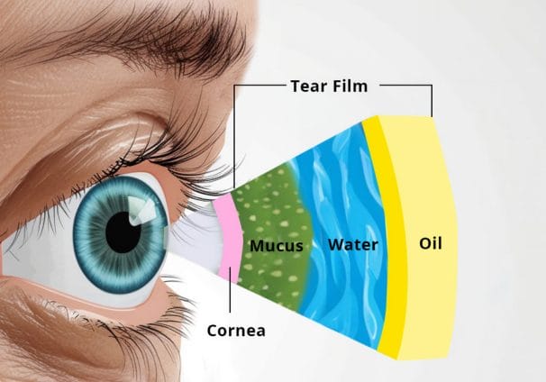 Figure 1. Layers in normal tear film.