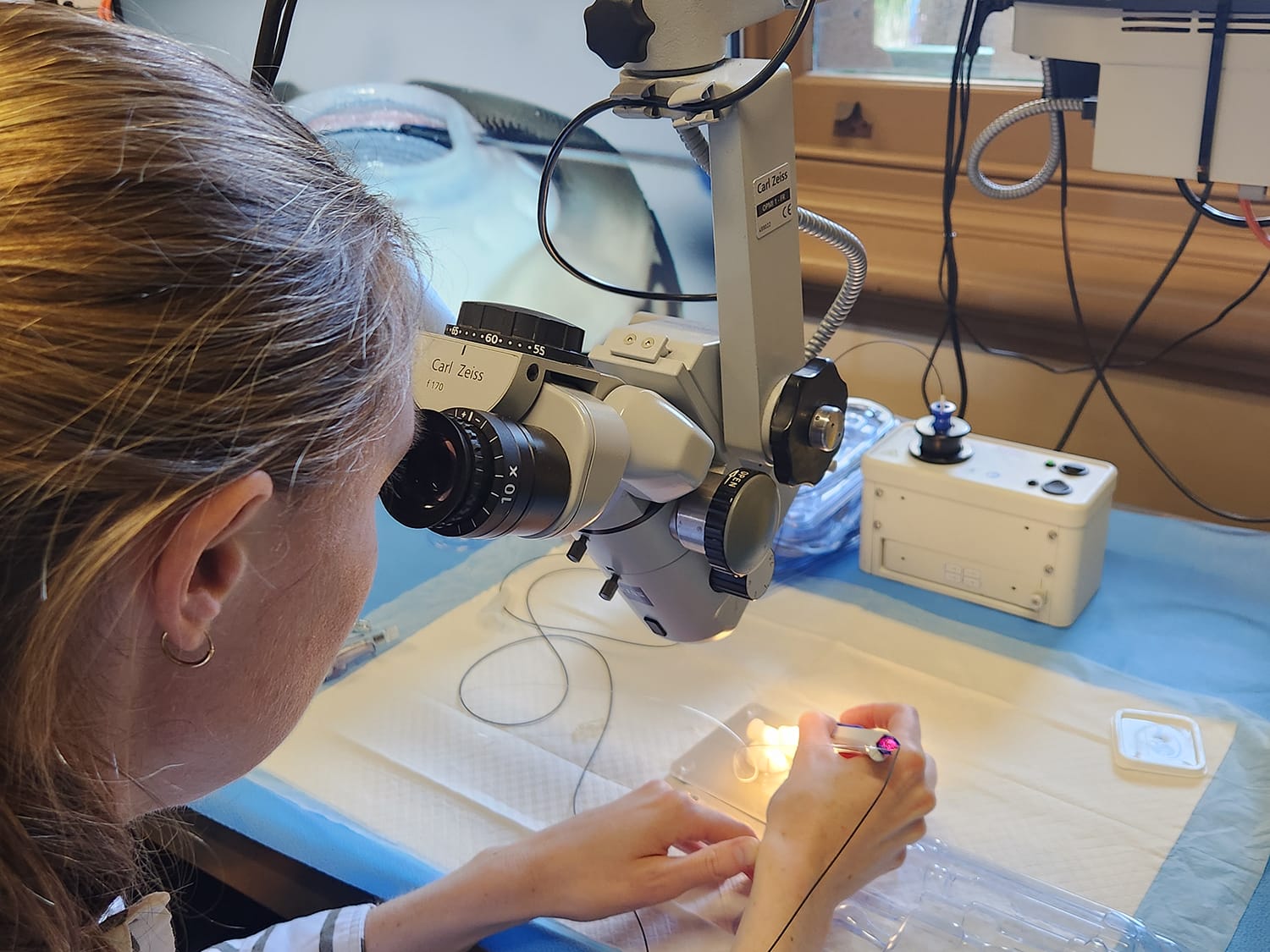 Registrars practising their microsurgical skills at Sight for Life.