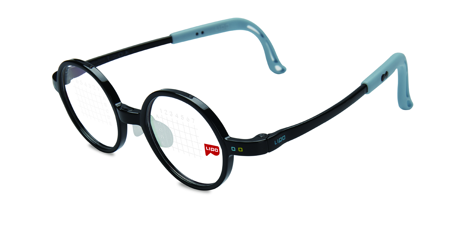 洋書 Collective Myopia /Japanese Organization 洋書 Collective Myopia /Japanese Organization Collective