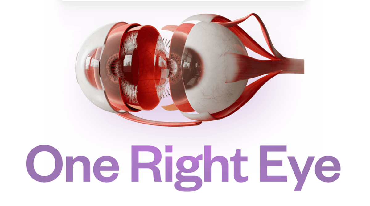 graphic from the One Right Eye website showing various cross sections of an eyeball.