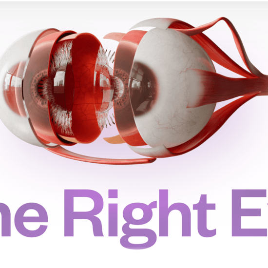 graphic from the One Right Eye website showing various cross sections of an eyeball.